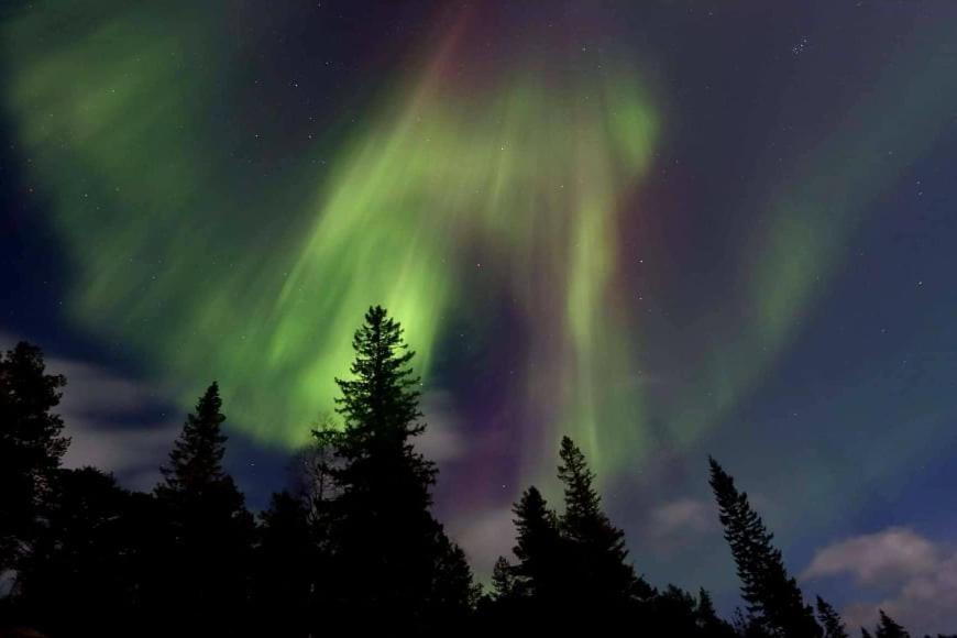 Graceland Norway Foldereid Ngoại thất bức ảnh